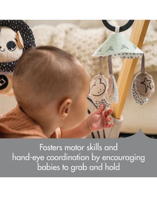 D&eacute;cor Luxe Developmental Gymini