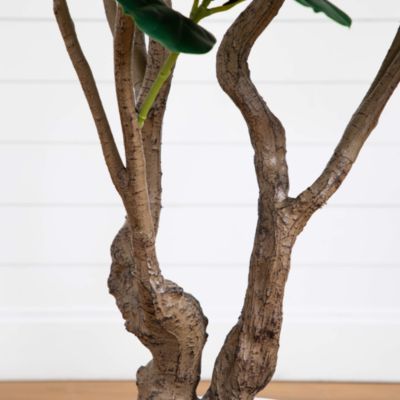 6&#39; Artificial Grand Fiddle Leaf Tree 
