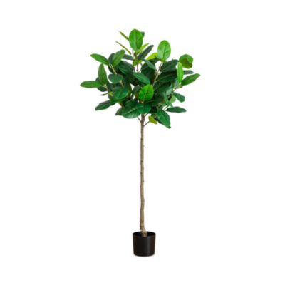 5&#39; Artificial Petite Audrey Ficus Tree