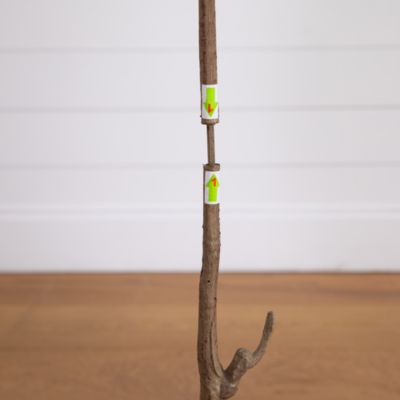 5&#39; Artificial Slim Minimalist Olive Tree