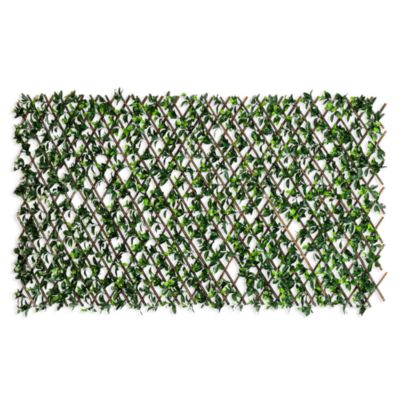 40&amp;quot; x 80&amp;quot; UV Resistant Artificial Gardenia Expandable Privacy Fence Screen (Indoor/Outdoor)