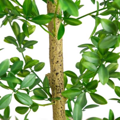 6' Artificial Shady Lady Black Olive Tree