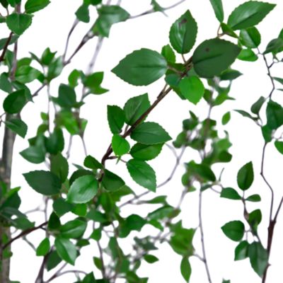 10' Minimalist Artificial Citrus Tree