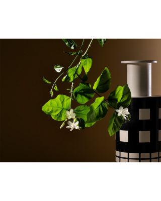 Gelsomino a Freddo Ambrosia Extrait de Parfum 1.7 oz.