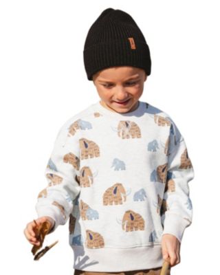Boys' Long Sleeve Crew Neck Fleece Sweatshirt - Baby