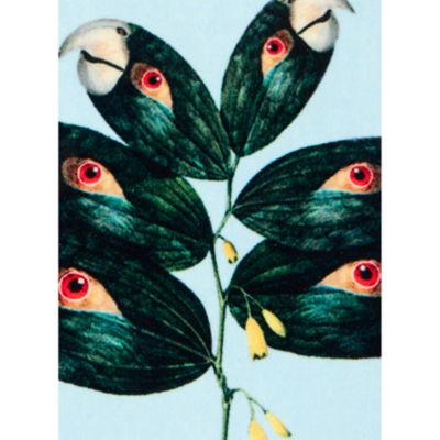 x Beto Val Disk Coasters, Set of 4