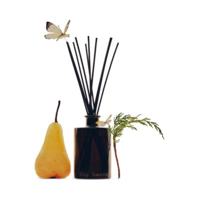 Hinoki Fant&amp;ocirc;me Reed Diffuser 6.7 oz.