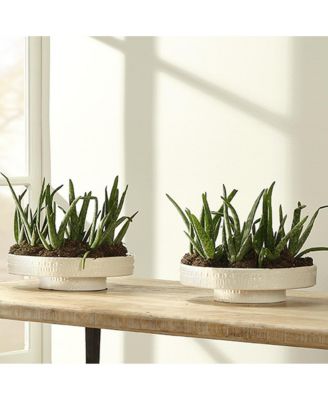 Coco Ceramic Decorative Pedestal