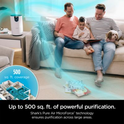 Air Purifier with True HEPA
