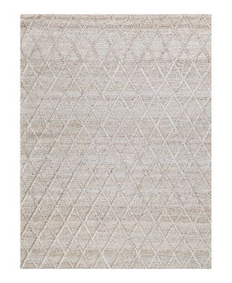 Exquisite Rugs Brentwood Area Rug 2'X3