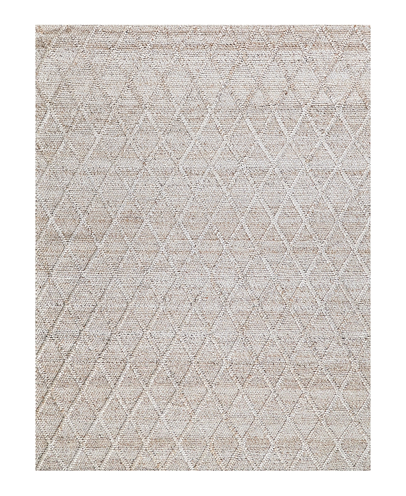 Exquisite Rugs Brentwood Area Rug 2'X3