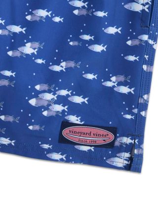 Boys&#39; Printed Chappy Swim Trunks - Little Kid, Big Kid