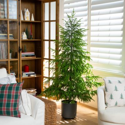 Artificial Real Touch Norfolk Island Pine 6' Christmas Tree with Natural Look