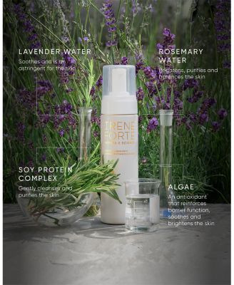 Lavender Foam Cleanser 6.76 oz.