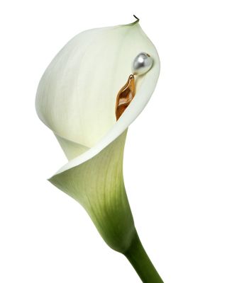 Margot Imitation Pearl Drop Earrings, 2.4"