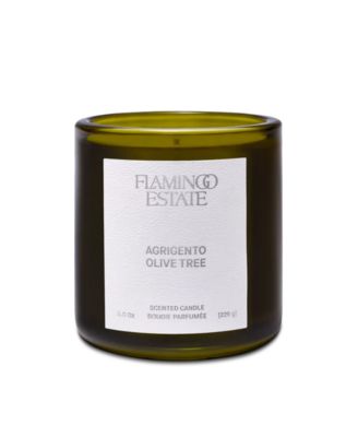  Agrigento Olive Tree Candle 8 oz.