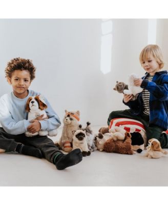  Bt Chaps Freddy The British Shorthair Floppy In Giftbox Plush 5-7 - Ages 5-7