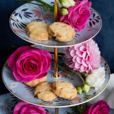 Sara Miller India Collection