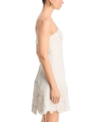 Ayla Applique Bustier Mini Dress