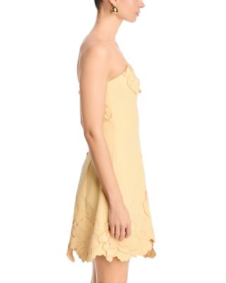 Ayla Applique Bustier Mini Dress - Exclusive