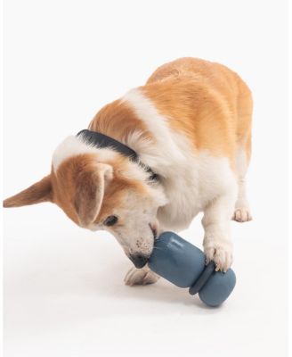 Medium Armadillo Toy