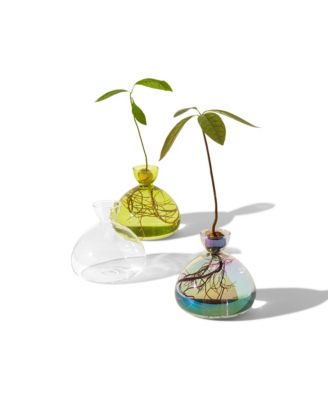  Avocado Vase by ilex Studio