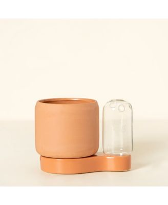  Self-Watering Planter & Propagation Station by Greenfinity