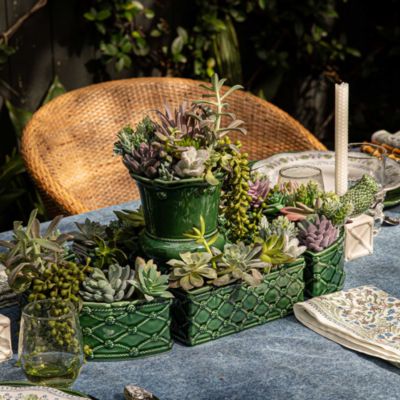 Berry & Thread Petite Parterre Garden 8" Vase