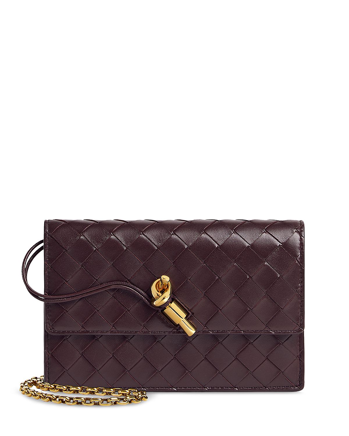 Bottega Veneta Andiamo Wallet on a Chain