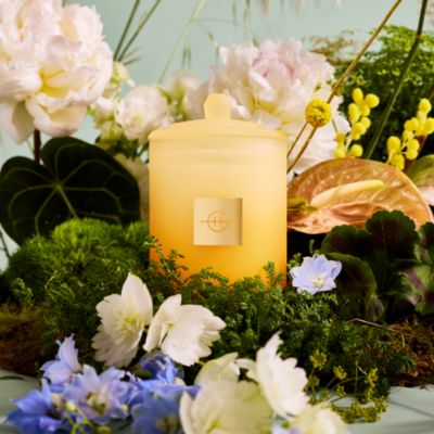 Flower Show Jar Candle, 13.4 Oz.
