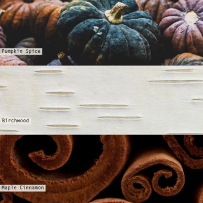 Midnight Pumpkin Large Crackle Glass Candle 21.5 oz.