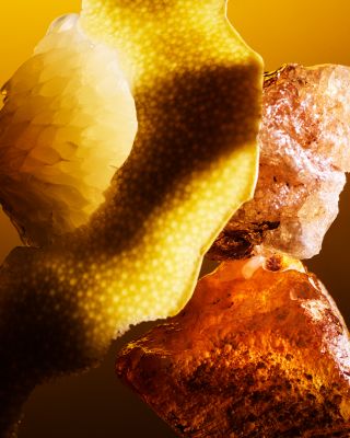 Le Gemme Tygar Extrait 2 oz.