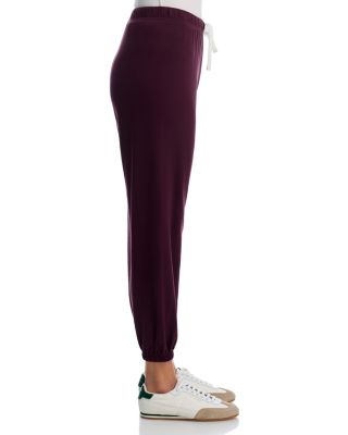 Andie Drawstring Sweatpants