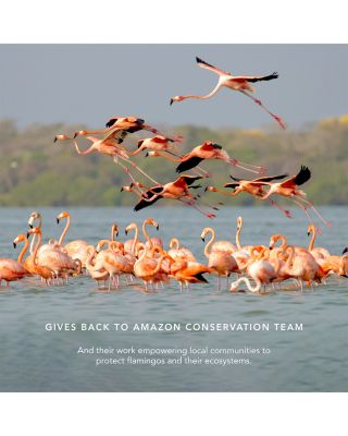 Dusk & Dawn Eye Trios