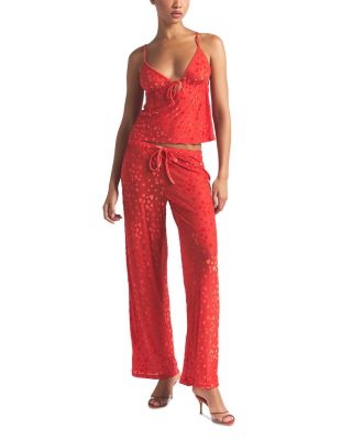 Sheer Velvet Camisole & Pants Set