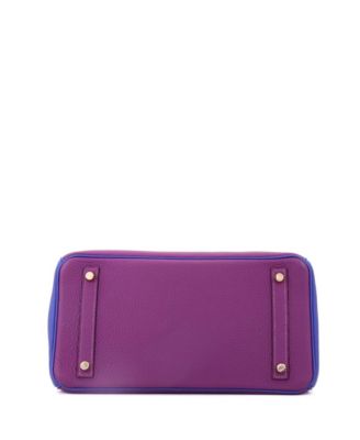 Birkin 30 Handbag Bicolor Togo with Brushed Gold Hardware