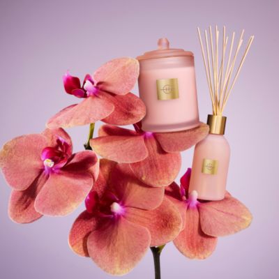 Radiance in Bloom Diffuser 8.4 oz.