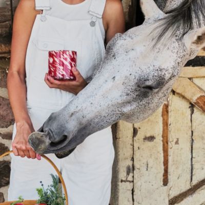 Tomato Season Signature Candle, 15.5 oz.