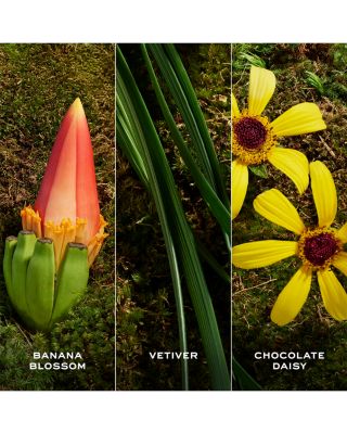 Daisy Wild Eau So Extra Refillable Eau de Parfum 3.3 oz.