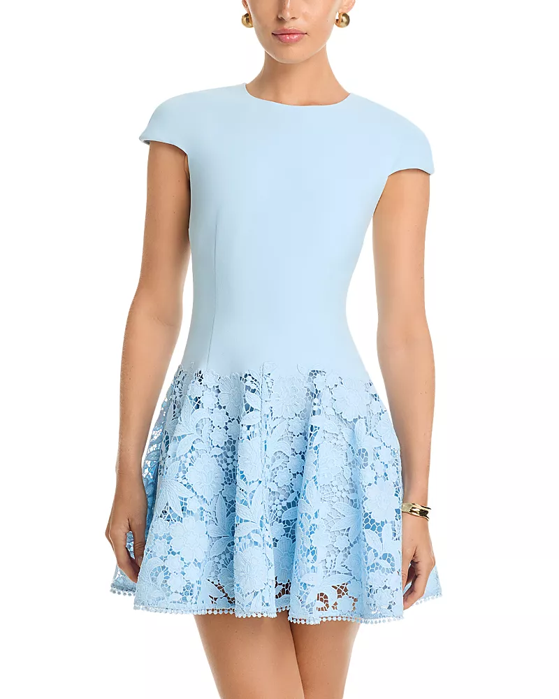 Self-Portrait Crepe Lace Mini Dress