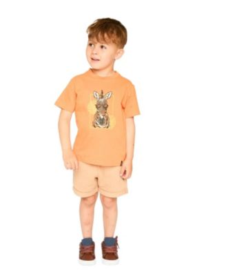 Boys' Organic Cotton Zebra Short Sleeve T-Shirt - Little Kid
