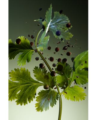 Man Wood Essence Parfum 3.4 oz.