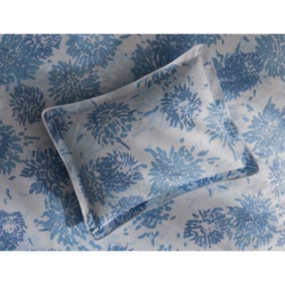 Chrysanthemum Bedding Collection