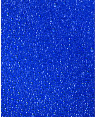 The Face Mist 3.38 oz.