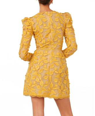 Christy Embroidered Long Sleeve Mini Dress