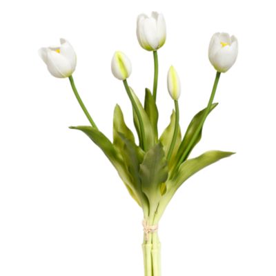 Blooming Tulip Bunch, Set of 6