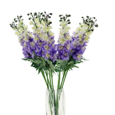 Iris Stem, Set of 12