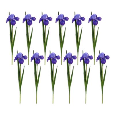 Iris Stem, Set of 12
