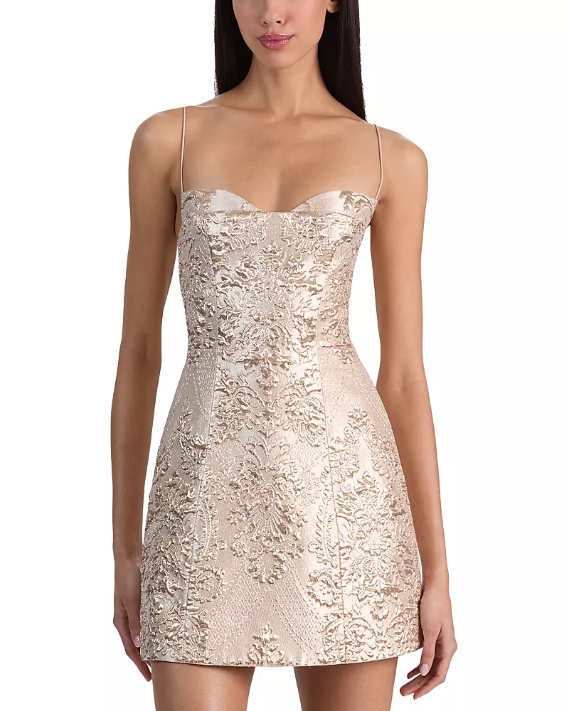 Alice and Olivia Hallie Mini Dress