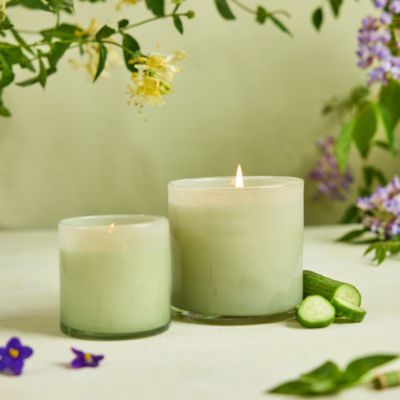 Wild Honeysuckle Signature Candle, 15.5 oz.